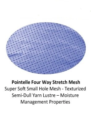 Pointelle four way stretch Mesh fabric