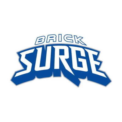 BRICK SURGE